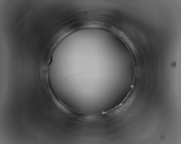 X0000102821433200809021240