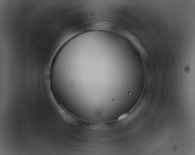 X0000102821434200809021240