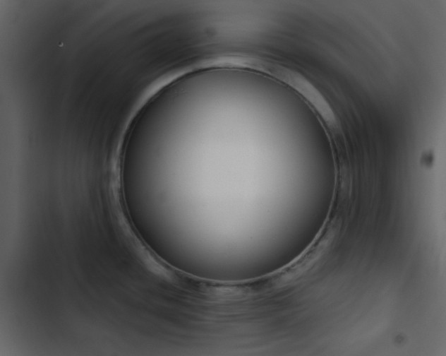 X0000102821436200809021240