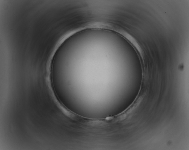 X0000102821437200809021240