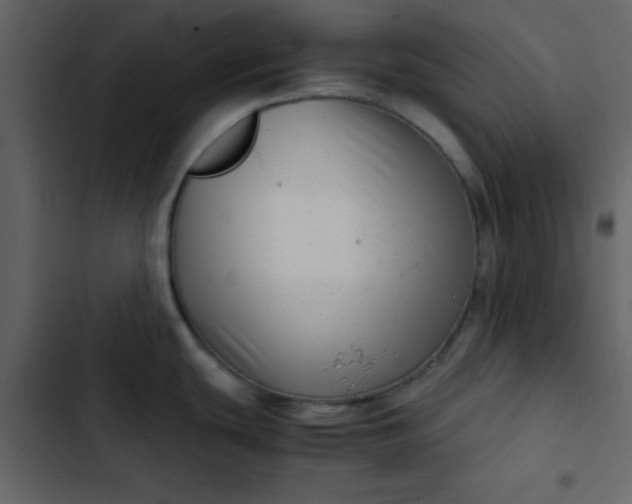 X0000102821439200809021240
