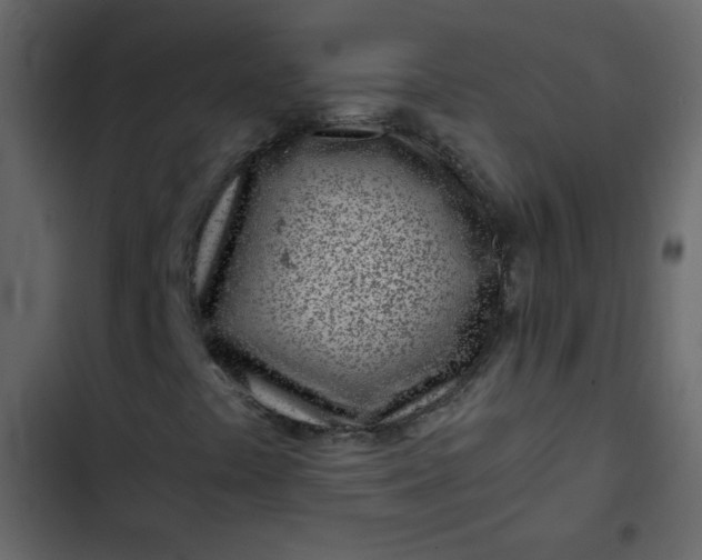X0000102821441200809021240