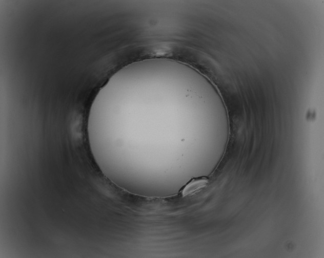 X0000102821442200809021240