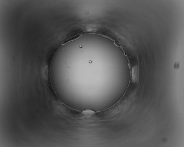 X0000102821443200809021240