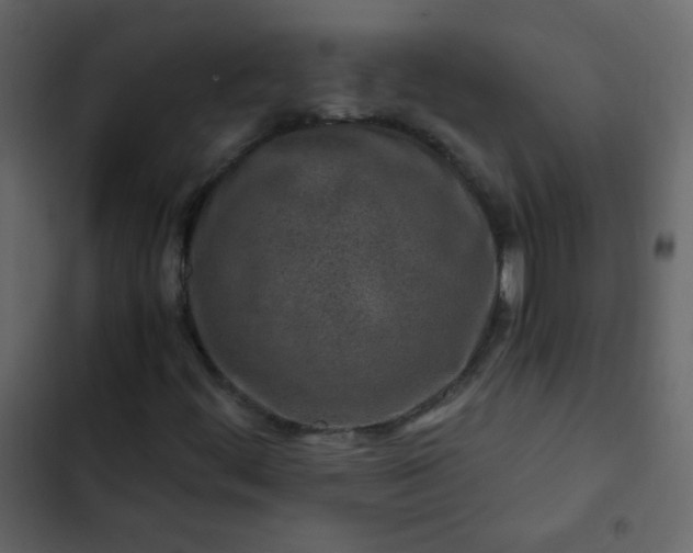 X0000102821444200809021240