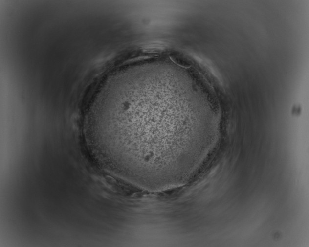 X0000102821445200809021240