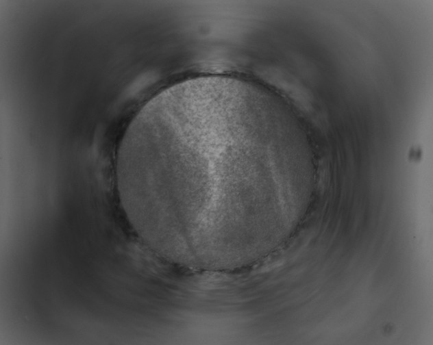 X0000102821446200809021240