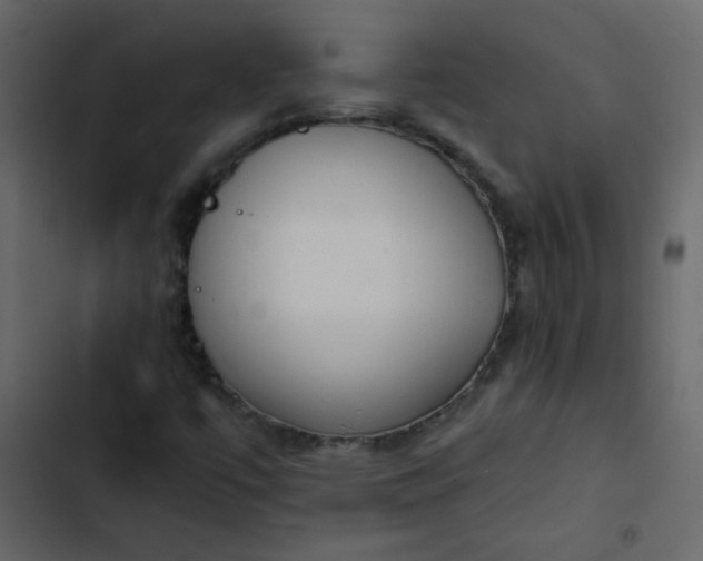 X0000102821447200809021240