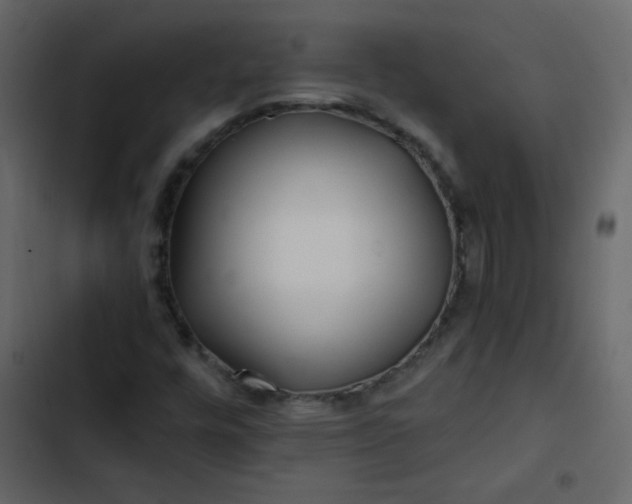 X0000102821448200809021240
