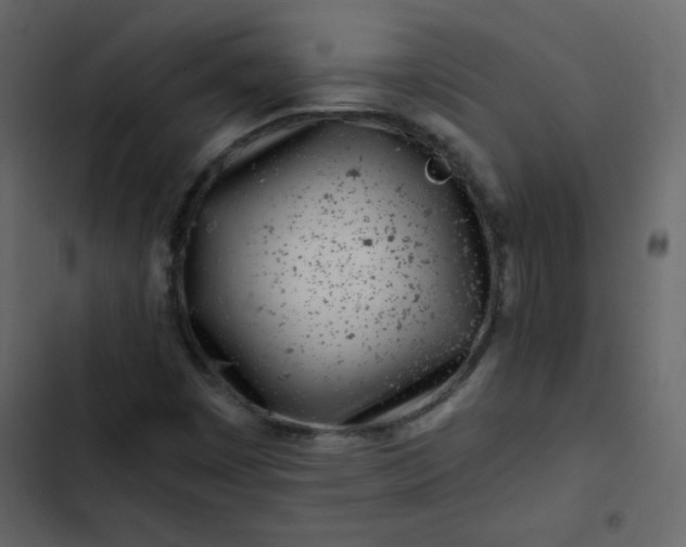 X0000102821449200809021239