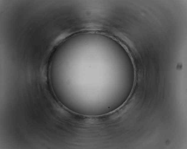 X0000102821451200809021239