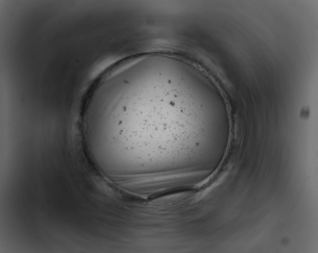 X0000102821453200809021239