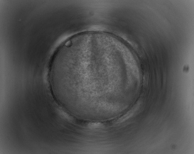 X0000102821454200809021239