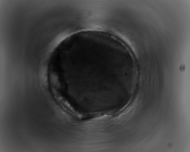 X0000102821455200809021239