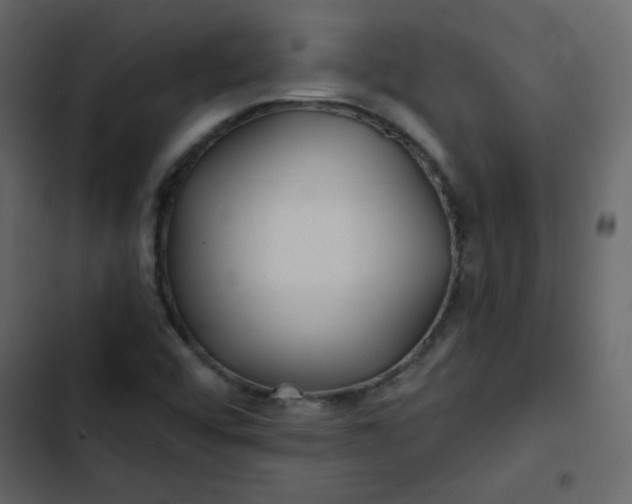 X0000102821456200809021239