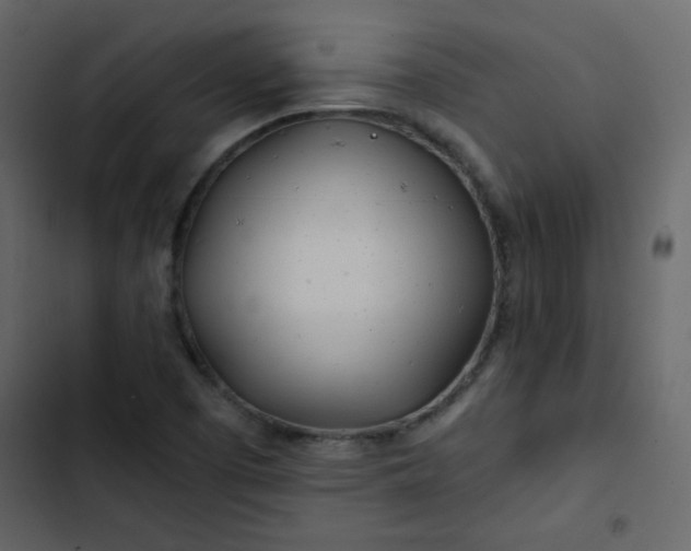 X0000102821457200809021239