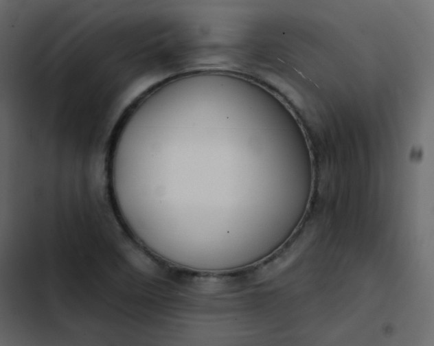 X0000102821458200809021239