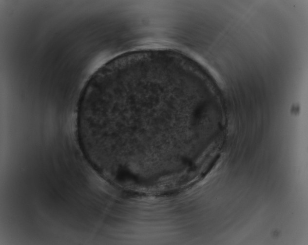 X0000102821459200809021239