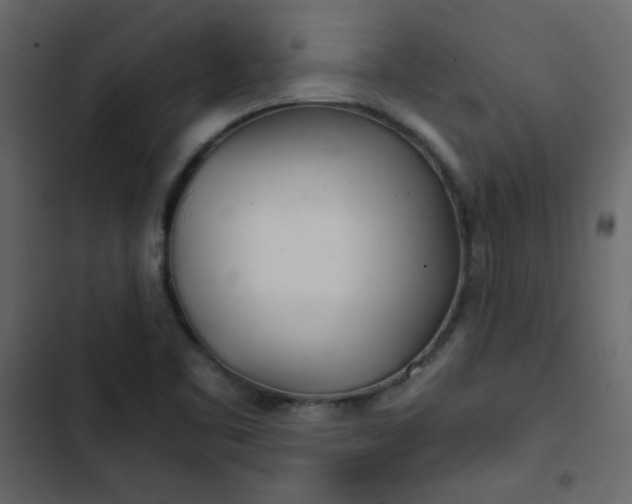 X0000102821461200809021239
