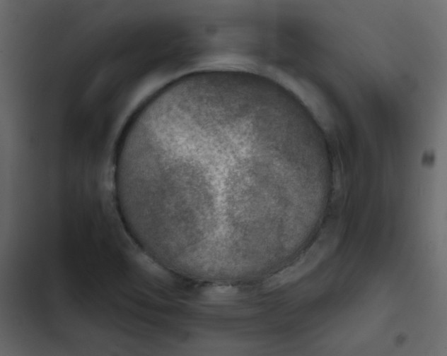 X0000102821462200809021239