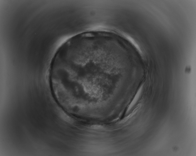X0000102821463200809021239