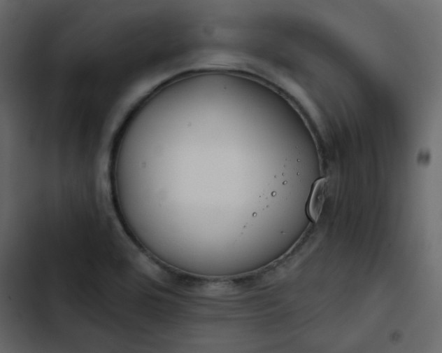 X0000102821464200809021239