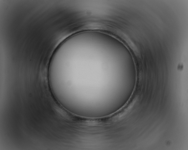 X0000102821465200809021239