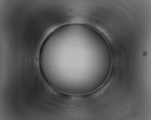 X0000102821469200809021239