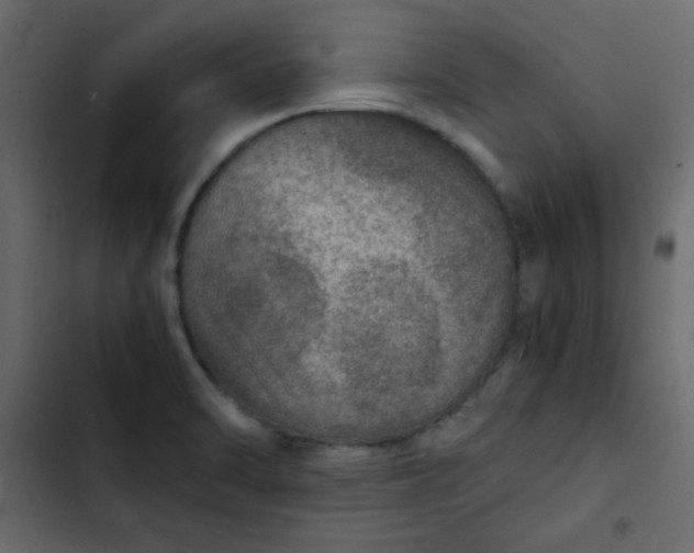 X0000102821470200809021239
