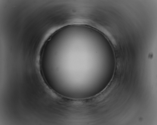 X0000102821472200809021239