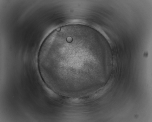 X0000102821474200809021239