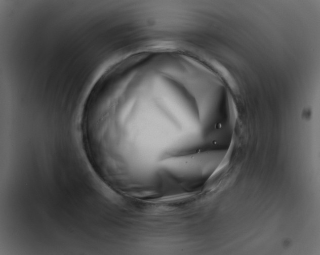 X0000102821475200809021239
