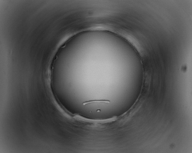 X0000102821476200809021239