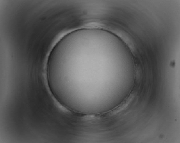 X0000102821478200809021239