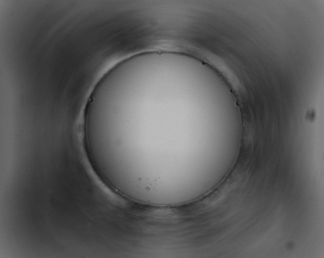 X0000102821479200809021239