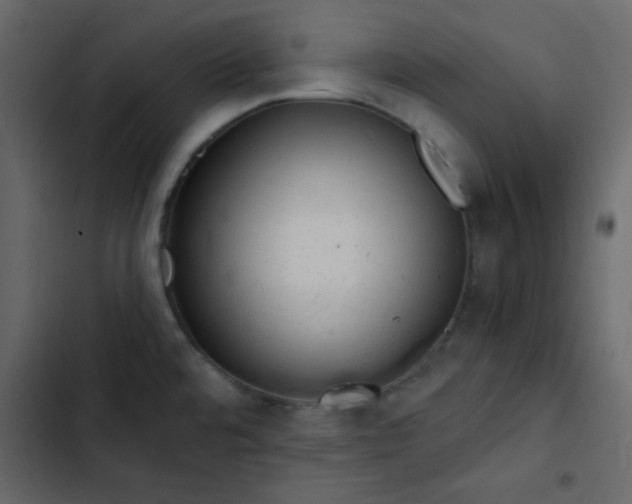 X0000102821480200809021239