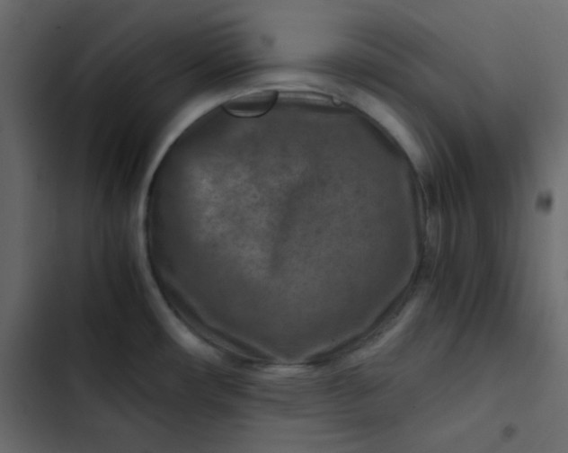 X0000102821482200809021239