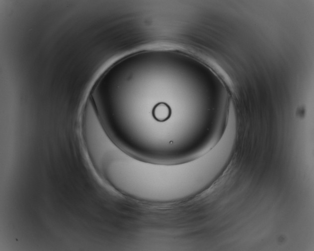 X0000102821484200809021239