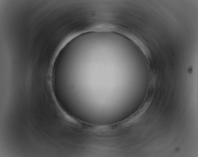 X0000102821486200809021239