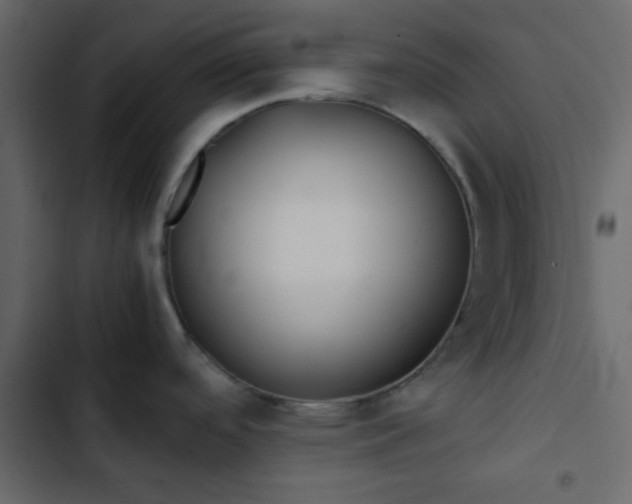 X0000102821488200809021239