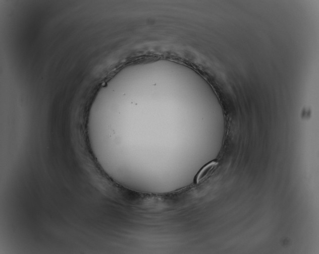 X0000102821489200809021238