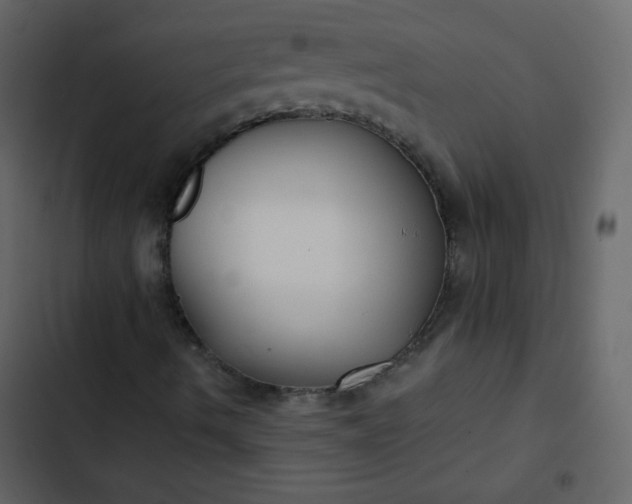 X0000102821490200809021238