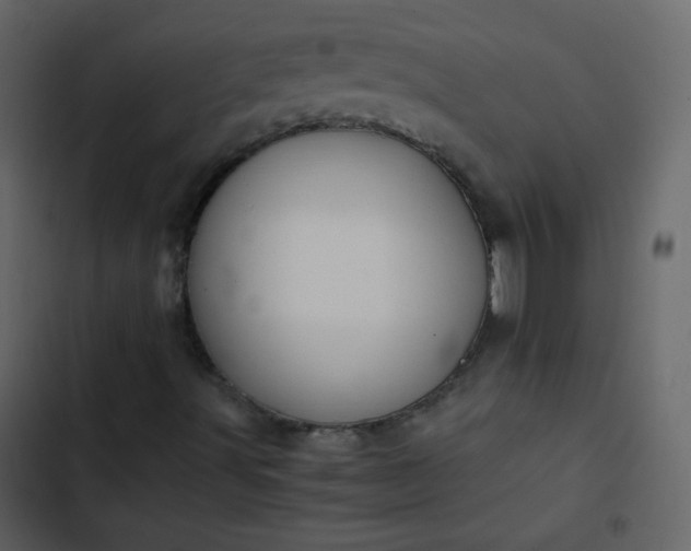 X0000102821491200809021238