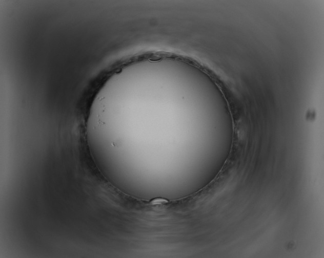 X0000102821495200809021238