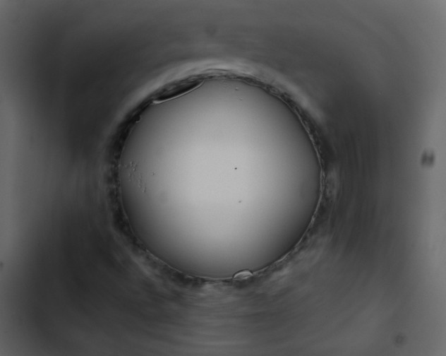X0000102821496200809021238