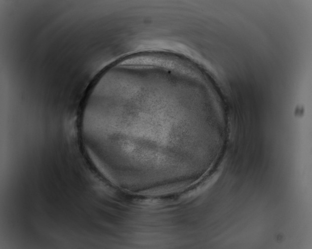 X0000102821497200809021238