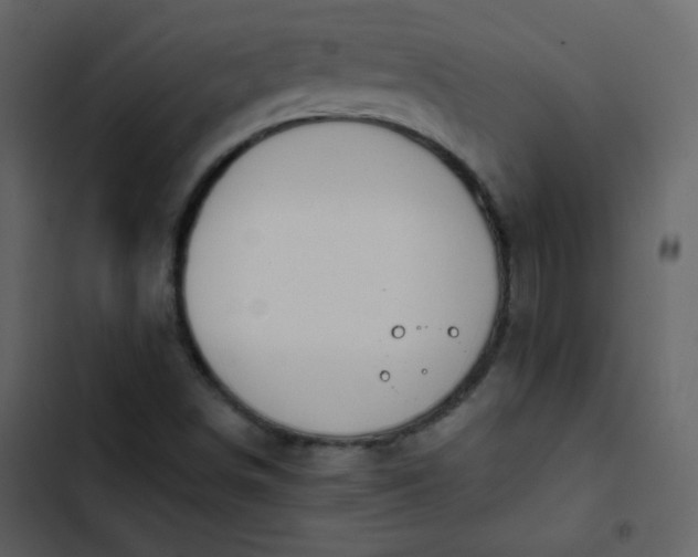 X0000102821498200809021238