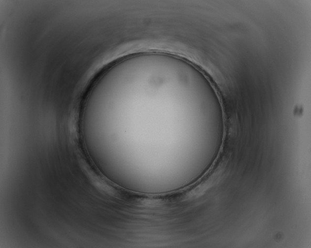 X0000102821499200809021238