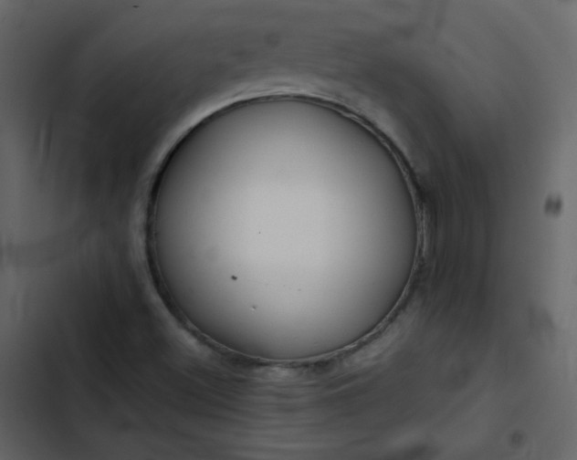 X0000102821500200809021238