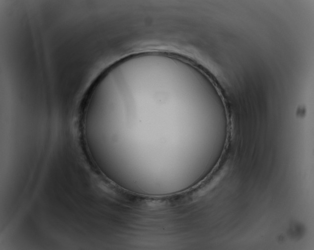 X0000102821501200809021238